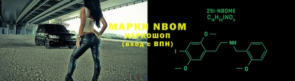 стафф Алзамай