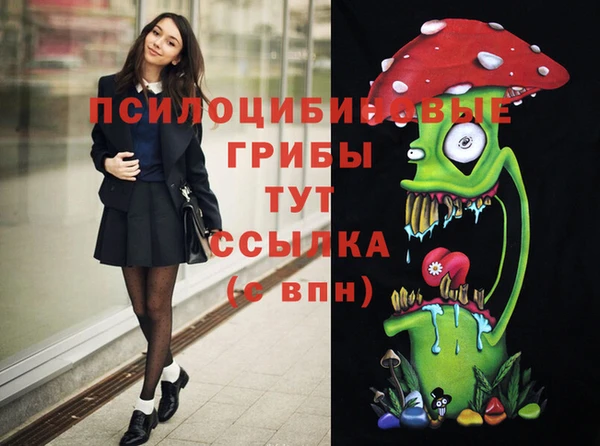 герыч Абаза