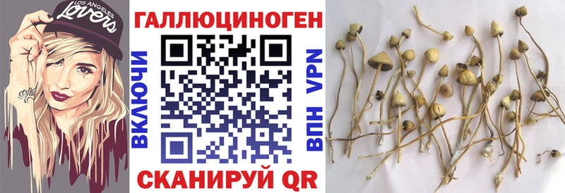 Псилоцибиновые грибы GOLDEN TEACHER  kraken tor  Югорск 